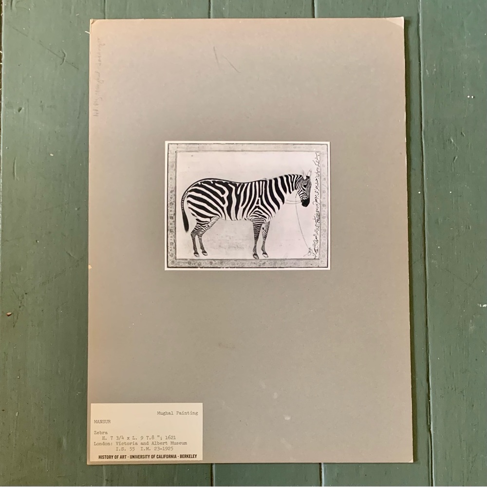 “Zebra” Mansur 1692
1970s UC Berkeley Art History Archive Print